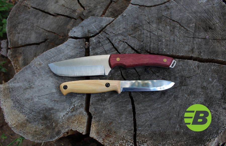 carbon or stainless steel