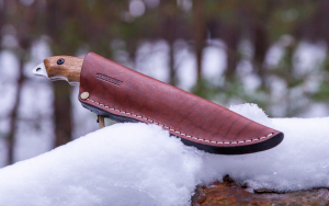 Knife in sheath