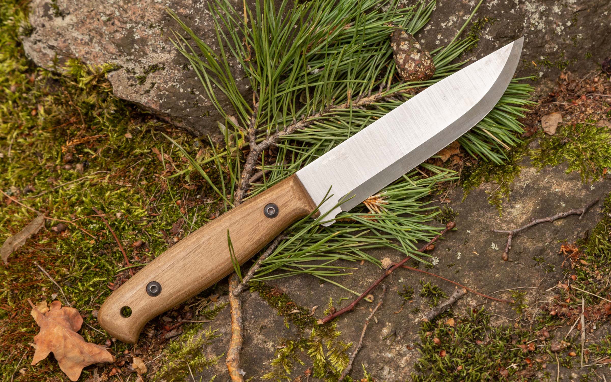 Adventurer CSHF by BPS Knives