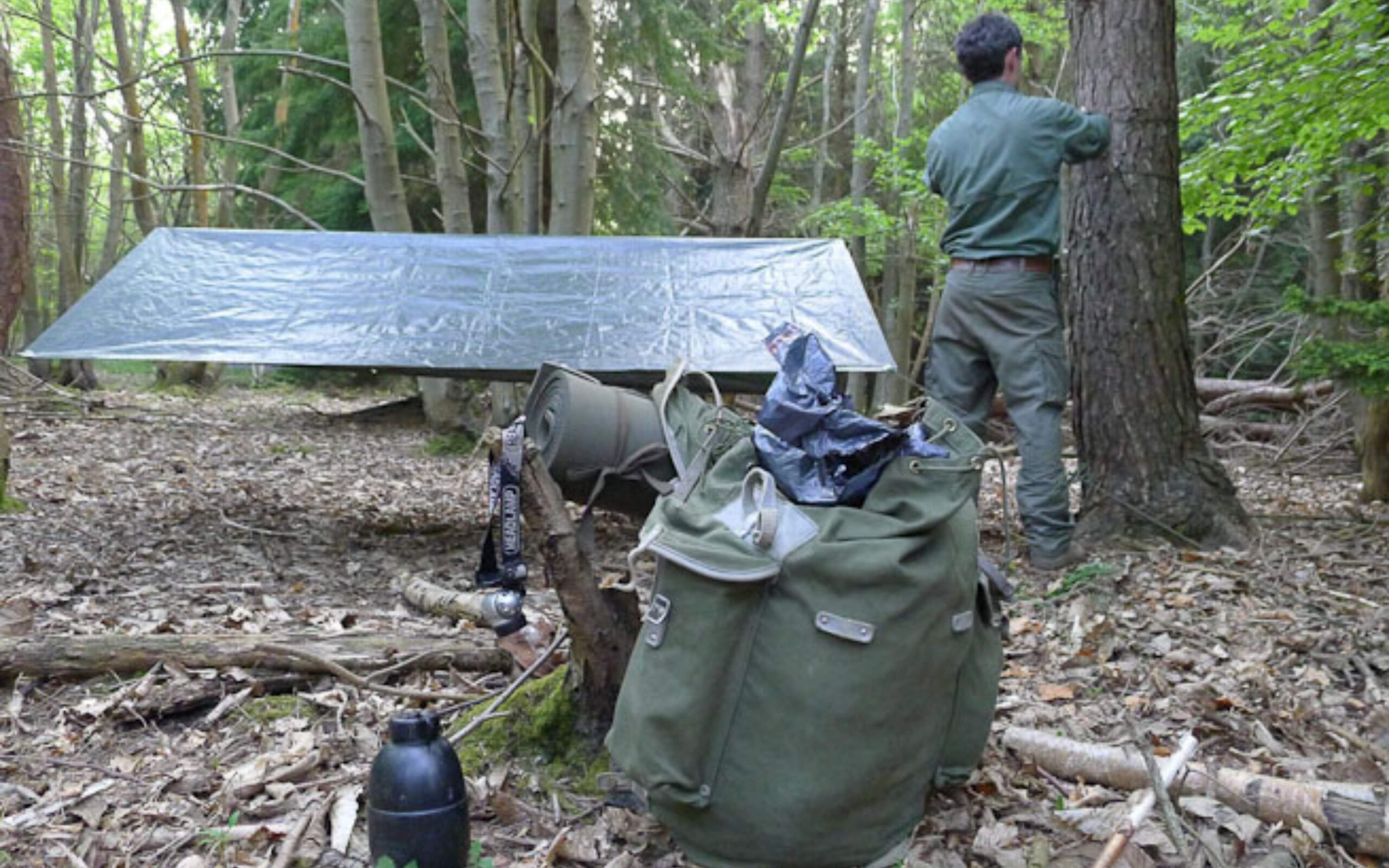 Shelter building