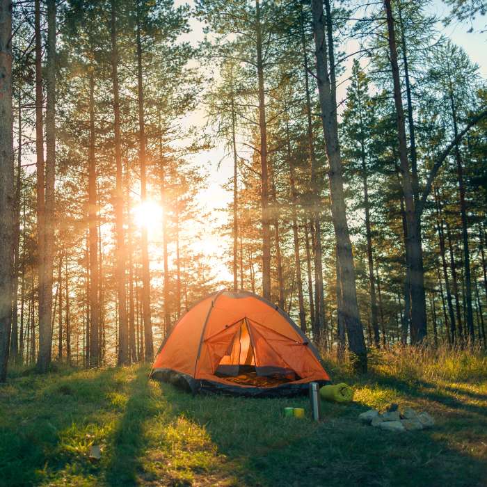 Spring Camping: Why It’s the Best Season to Camp