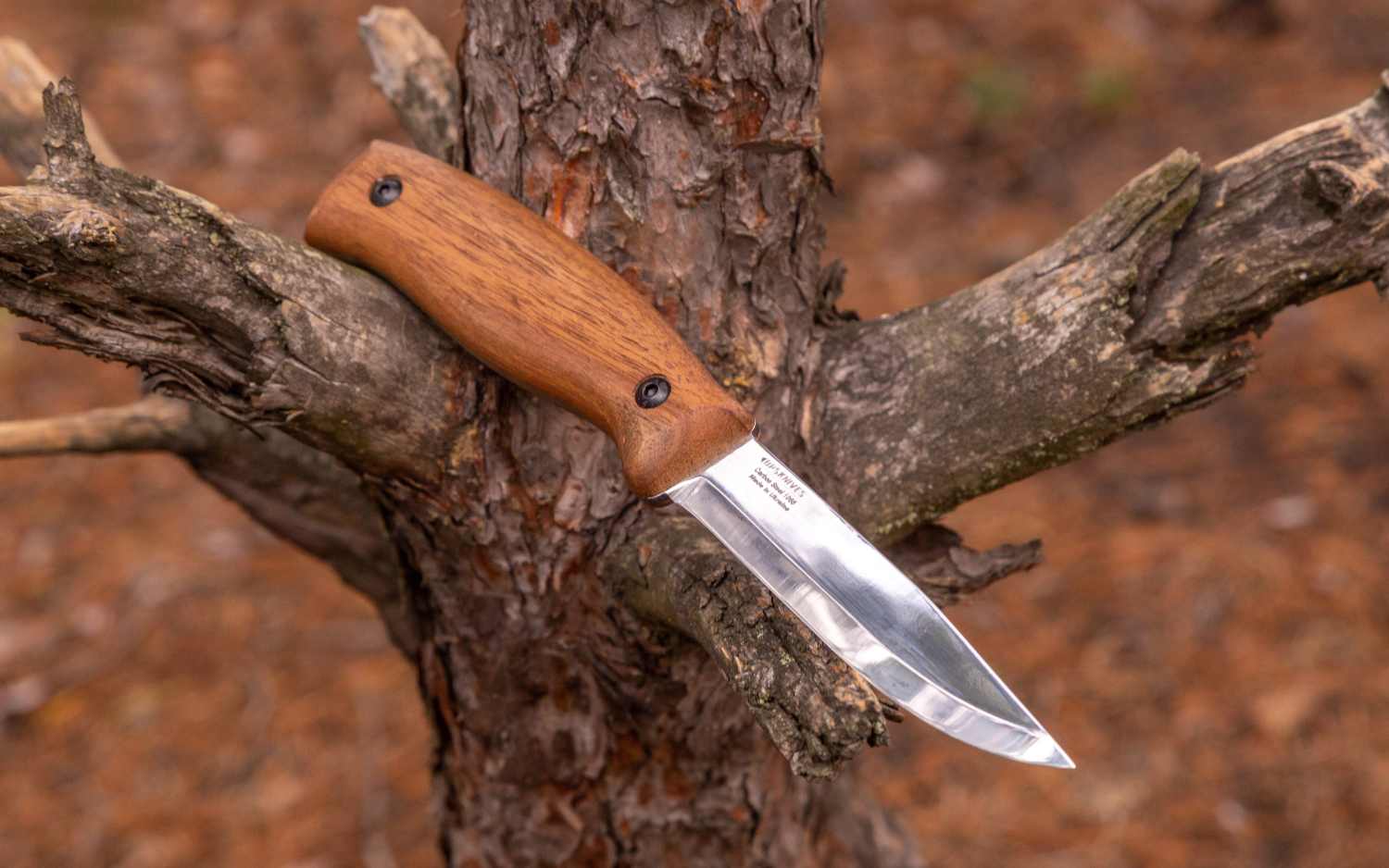 BS3 CSH from BPS Knives