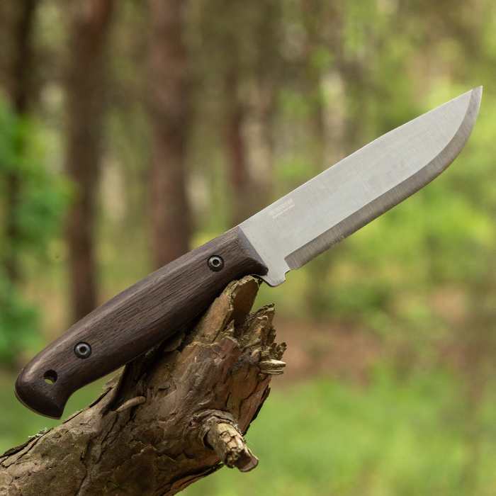Top 5 Stainless Steels for Knives